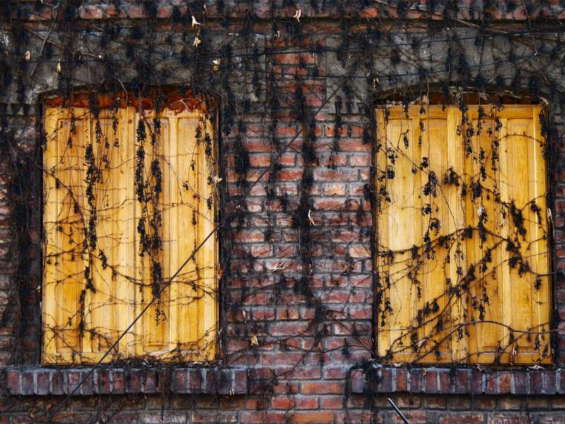 Դեկորատիվ պղպջակ - ներքին հարդարման համար