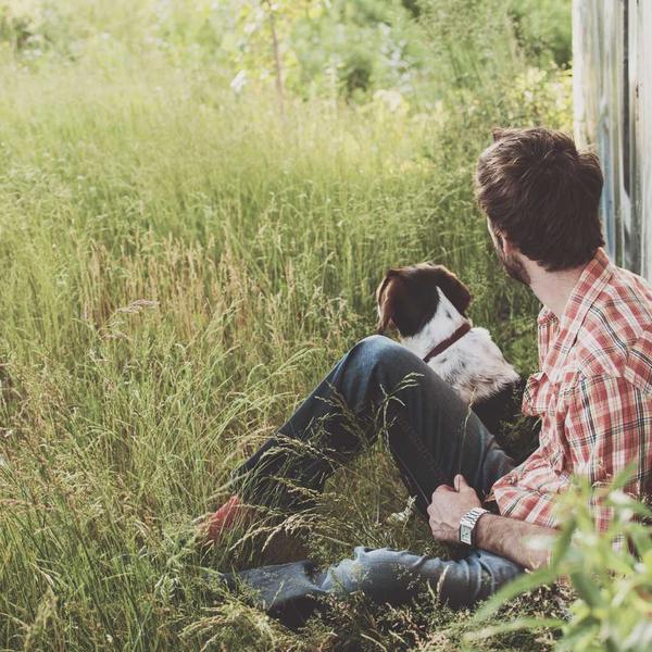 Գիպսե կարնիզ և մոլդինգ